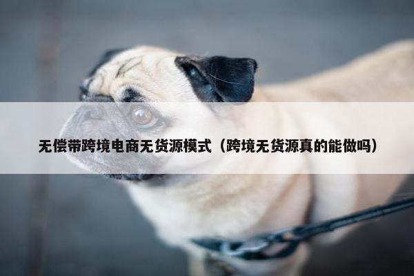 无偿带跨境电商无货源模式（跨境无货源真的能做吗）