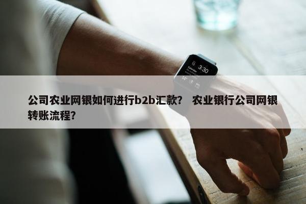 公司农业网银如何进行b2b汇款？ 农业银行公司网银转账流程？