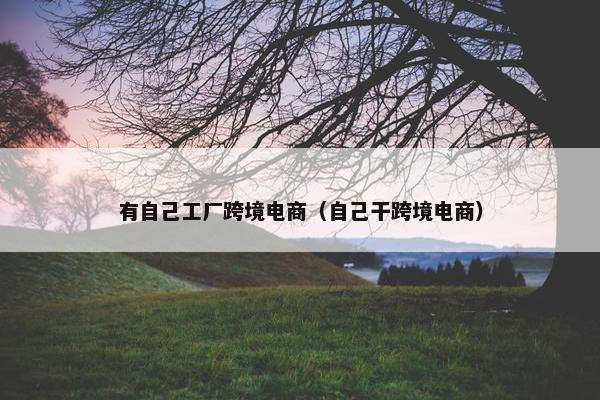 有自己工厂跨境电商（自己干跨境电商）