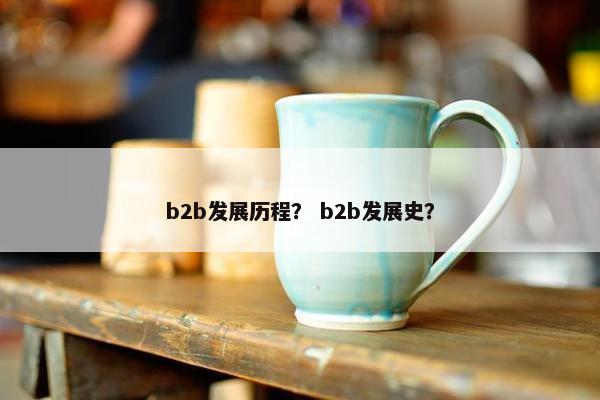 b2b发展历程？ b2b发展史？