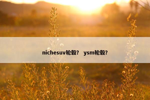 nichesuv轮毂？ ysm轮毂？