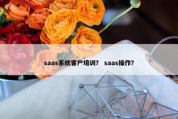 saas系统客户培训？ saas操作？