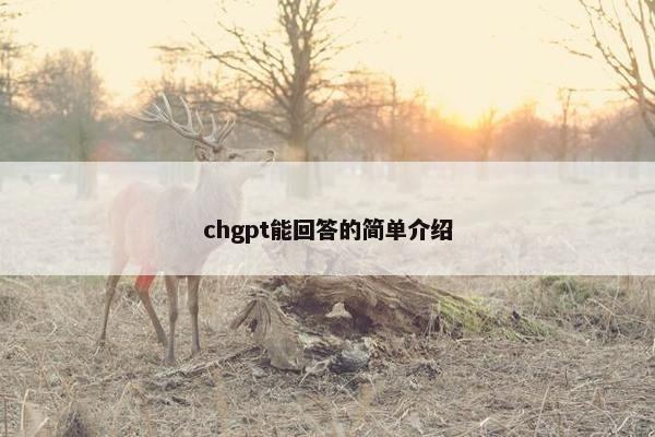 chgpt能回答的简单介绍