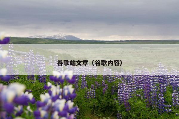 谷歌站文章（谷歌内容）