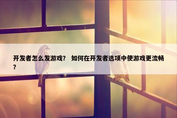 开发者怎么发游戏？ 如何在开发者选项中使游戏更流畅？