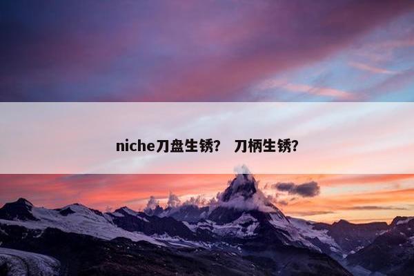 niche刀盘生锈？ 刀柄生锈？