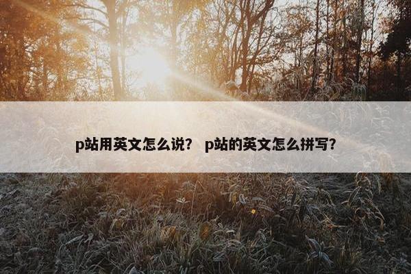 p站用英文怎么说？ p站的英文怎么拼写？