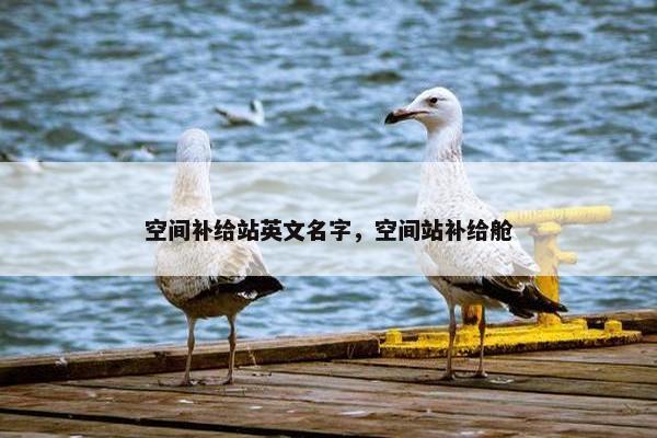 空间补给站英文名字，空间站补给舱