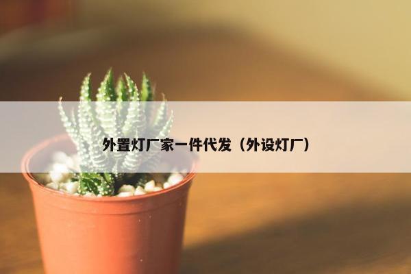 外置灯厂家一件代发（外设灯厂）