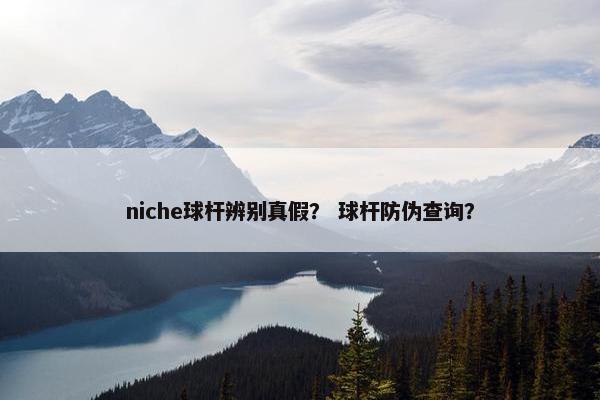 niche球杆辨别真假？ 球杆防伪查询？