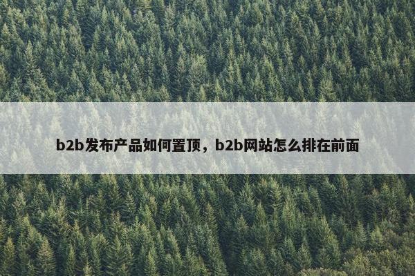 b2b发布产品如何置顶，b2b网站怎么排在前面