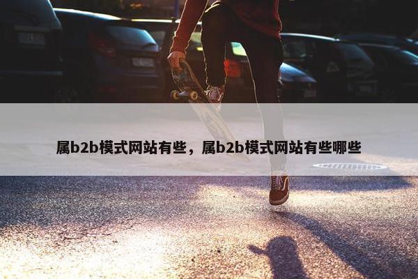 属b2b模式网站有些，属b2b模式网站有些哪些