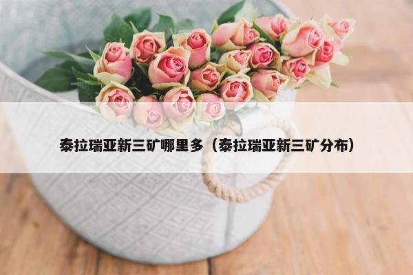 泰拉瑞亚新三矿哪里多（泰拉瑞亚新三矿分布）