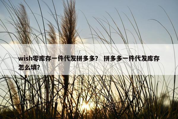 wish零库存一件代发拼多多？ 拼多多一件代发库存怎么填？