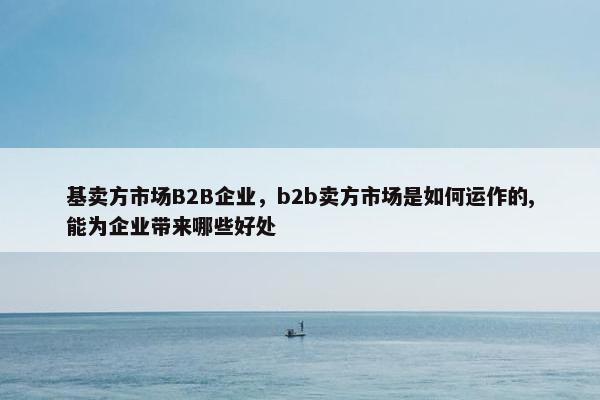 基卖方市场B2B企业，b2b卖方市场是如何运作的,能为企业带来哪些好处