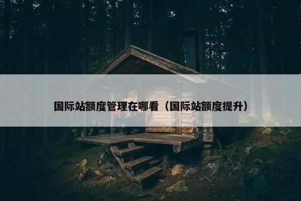 国际站额度管理在哪看（国际站额度提升）