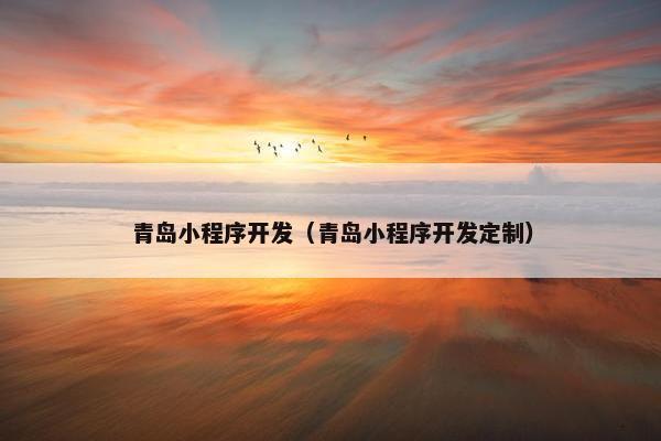 青岛小程序开发（青岛小程序开发定制）