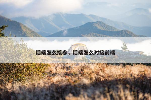 后端怎么接参，后端怎么对接前端