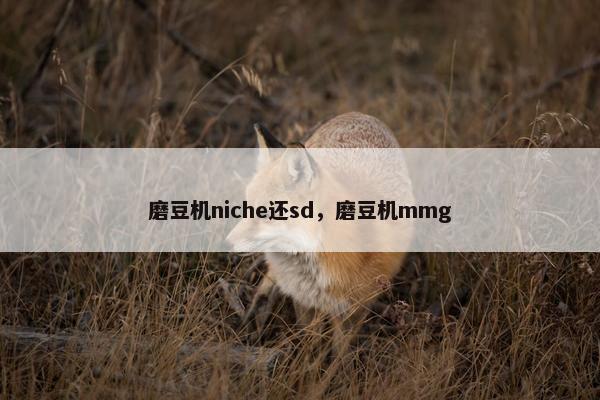 磨豆机niche还sd，磨豆机mmg