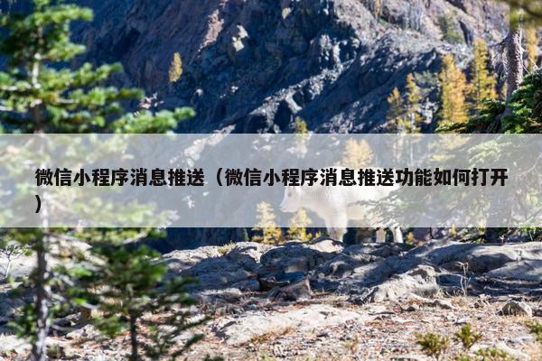 微信小程序消息推送（微信小程序消息推送功能如何打开）