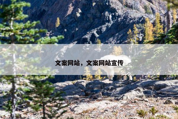 文案网站，文案网站宣传