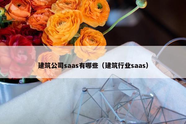 建筑公司saas有哪些（建筑行业saas）