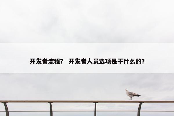 开发者流程？ 开发者人员选项是干什么的？