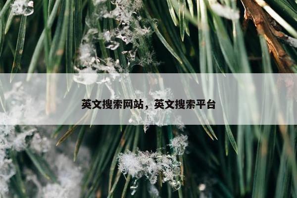 英文搜索网站，英文搜索平台