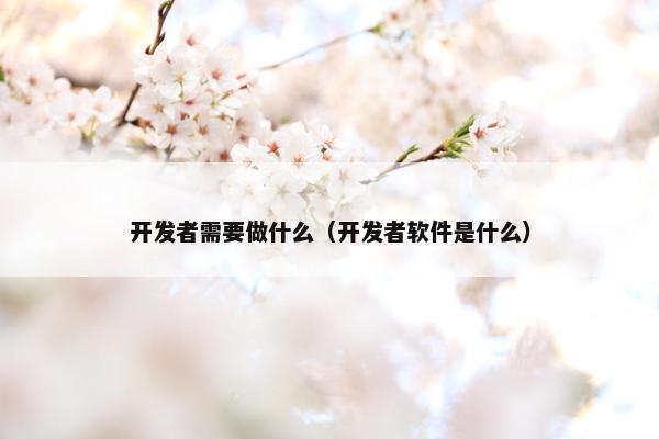 开发者需要做什么（开发者软件是什么）