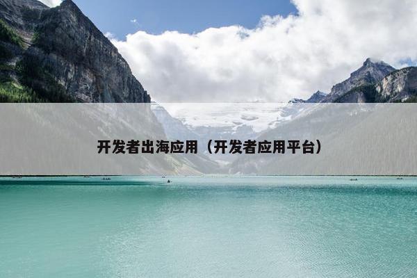 开发者出海应用（开发者应用平台）