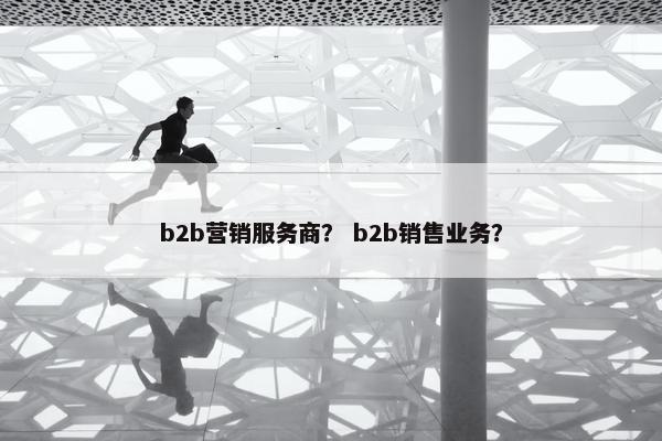 b2b营销服务商？ b2b销售业务？