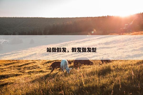 站做假发，假发做发型