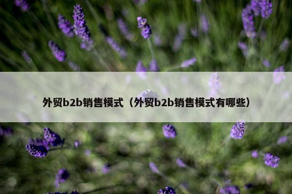 外贸b2b销售模式（外贸b2b销售模式有哪些）