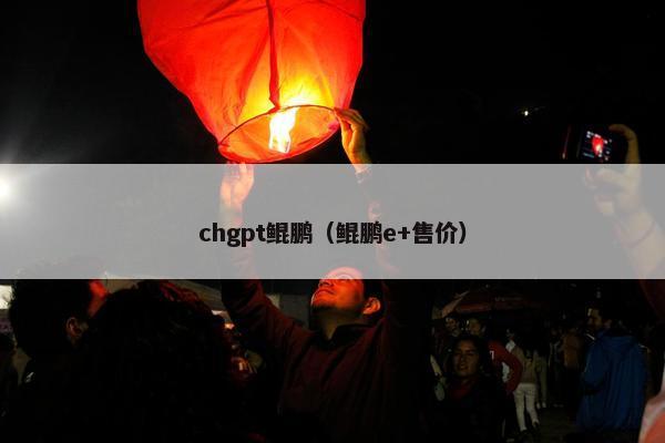 chgpt鲲鹏（鲲鹏e+售价）
