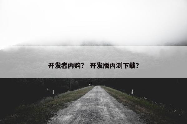 开发者内购？ 开发版内测下载？