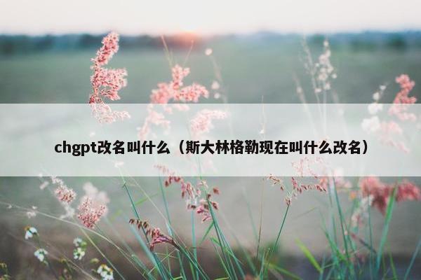 chgpt改名叫什么（斯大林格勒现在叫什么改名）