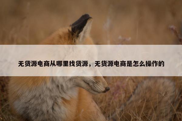 无货源电商从哪里找货源，无货源电商是怎么操作的