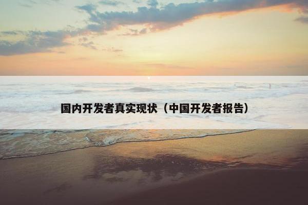 国内开发者真实现状（中国开发者报告）