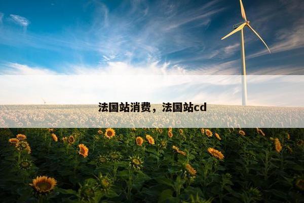法国站消费，法国站cd