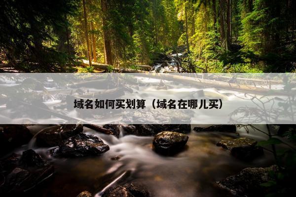 域名如何买划算（域名在哪儿买）