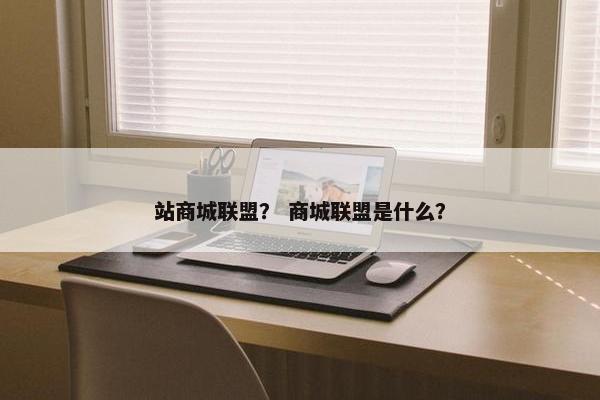 站商城联盟？ 商城联盟是什么？