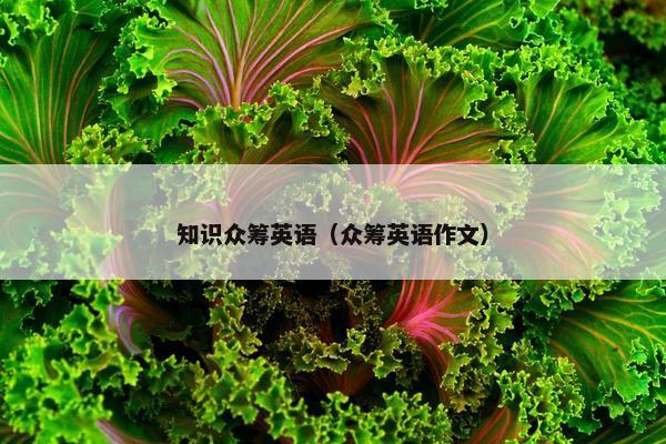 知识众筹英语（众筹英语作文）