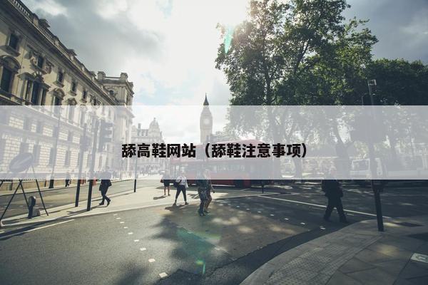 舔高鞋网站（舔鞋注意事项）