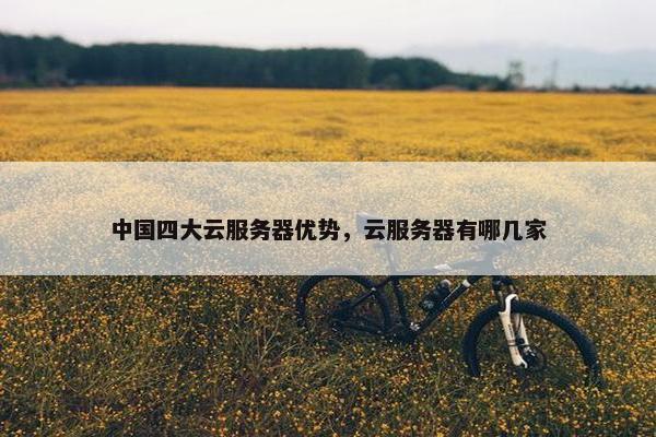 中国四大云服务器优势，云服务器有哪几家