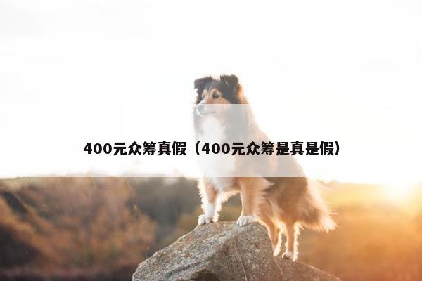 400元众筹真假（400元众筹是真是假）