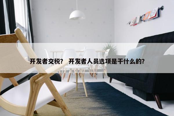 开发者交税？ 开发者人员选项是干什么的？