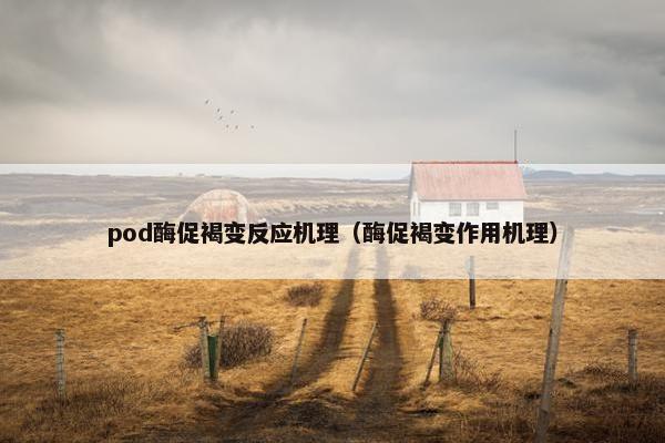pod酶促褐变反应机理（酶促褐变作用机理）