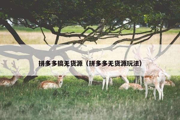 拼多多搞无货源（拼多多无货源玩法）