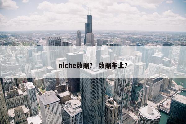 niche数据？ 数据车上？