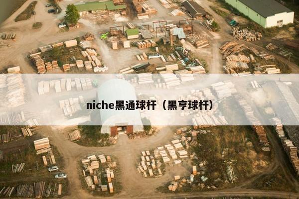 niche黑通球杆（黑亨球杆）
